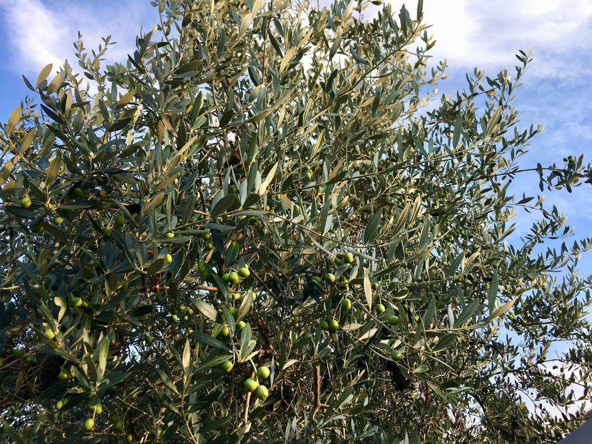 C'Era Una Volta Podere San Giovanni Fossacesia Exterior foto
