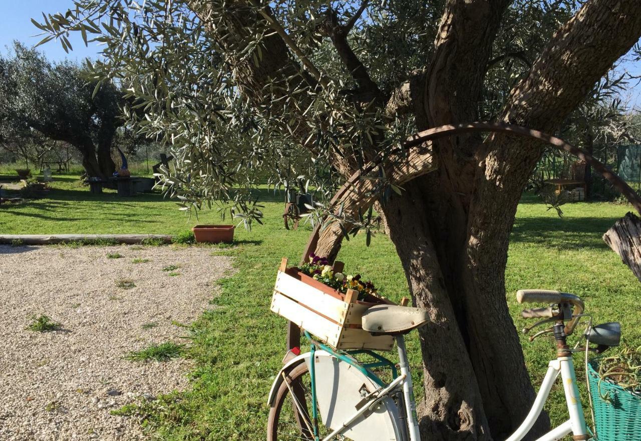 C'Era Una Volta Podere San Giovanni Fossacesia Exterior foto